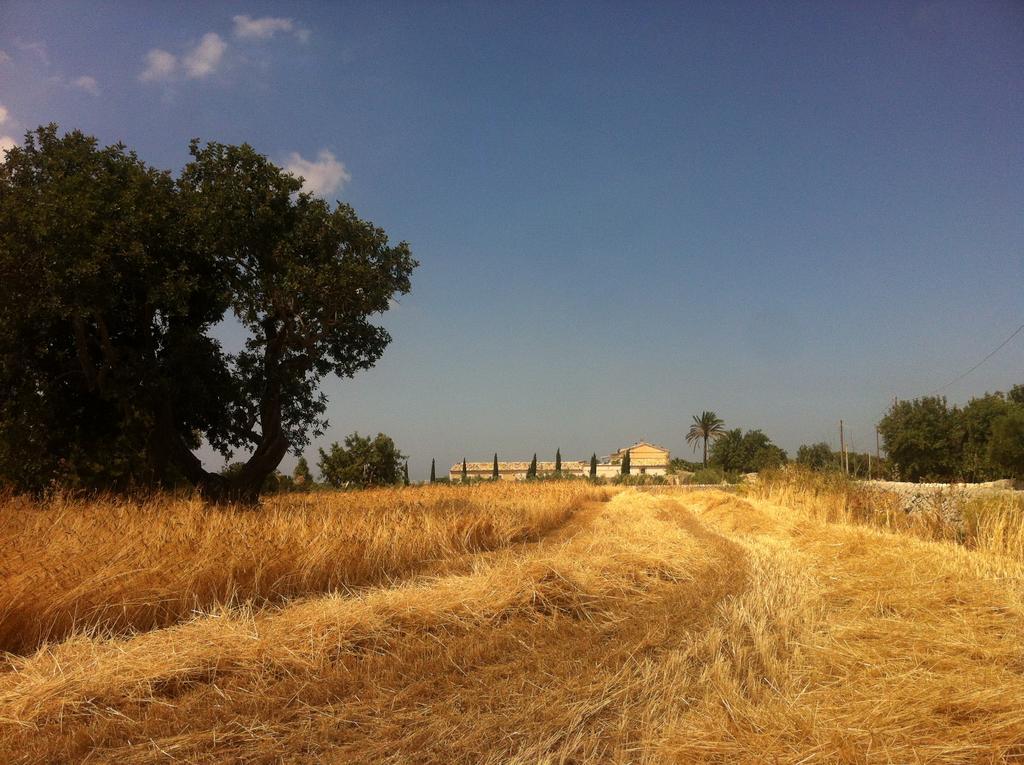 Tenuta Cammarana Donnafugata Exterior foto
